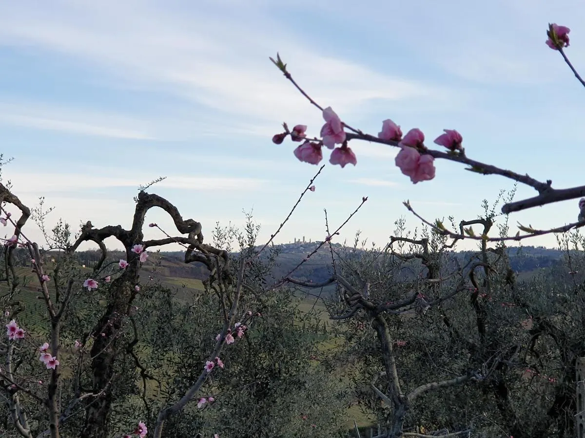 Villino Del Grillo Villa San Gimignano Çiftlik konaklama